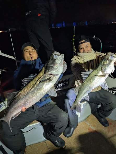 シーバス(スズキ)