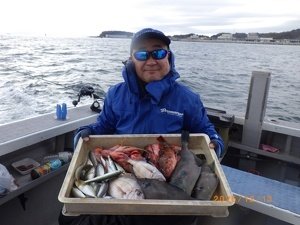 タイ(マダイ)・アジ(マアジ)・カサゴ・ウルメイワシ
