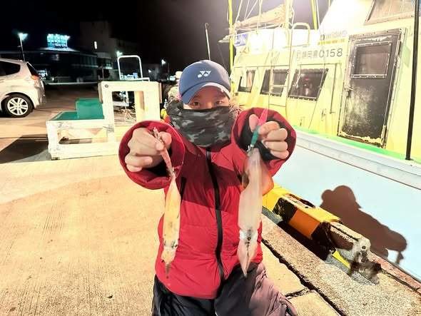 マルイカ(ケンサキイカ)