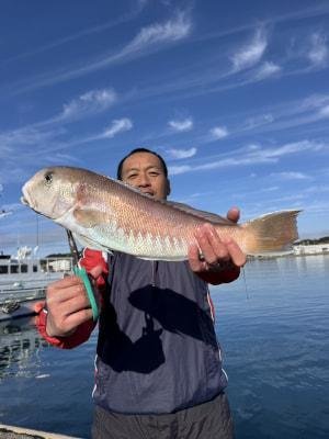 シロアマダイ