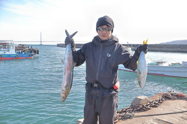 ハマチ(ブリ)・サゴシ(サワラ)