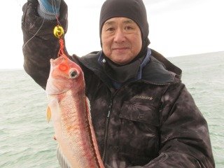 アマダイ(アカアマダイ)