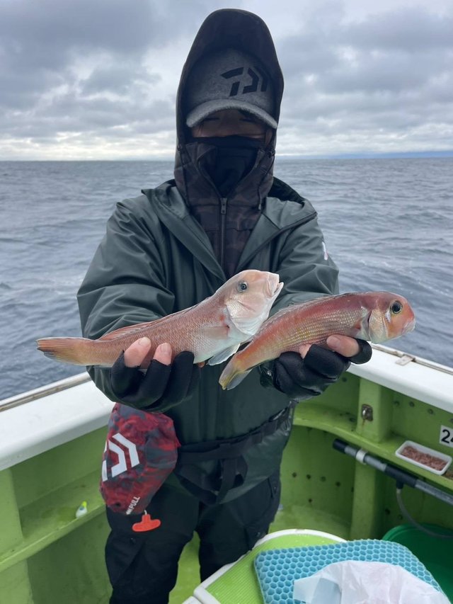 アマダイ(アカアマダイ)