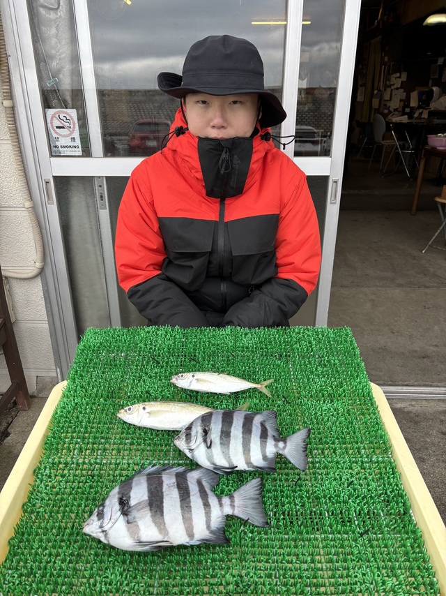 イシダイ・アジ(マアジ)