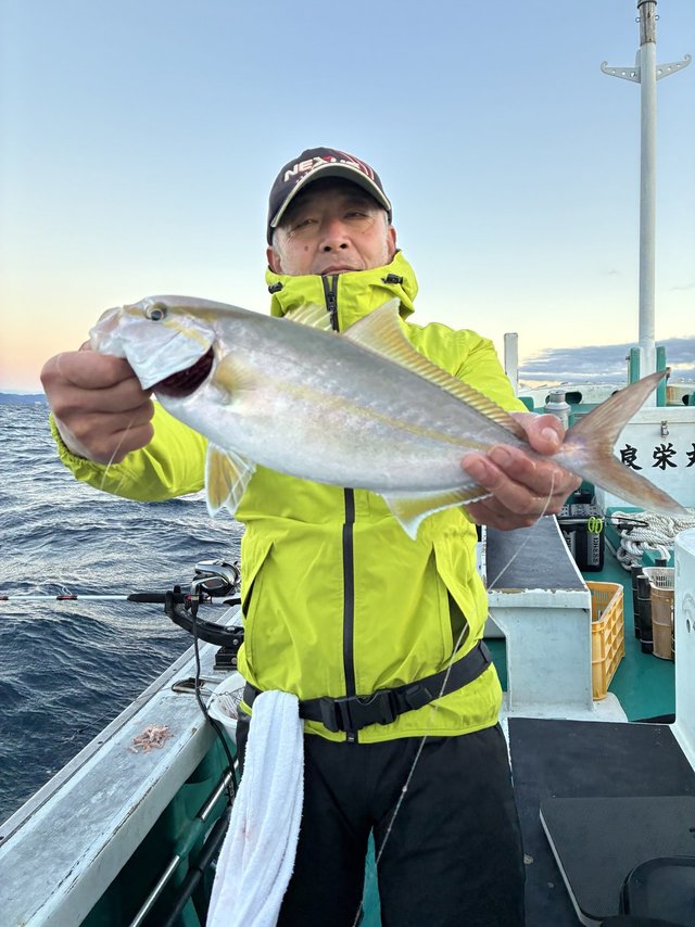 シオ(カンパチ)