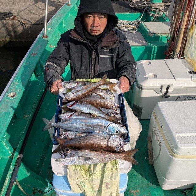 シロムツ(オオメハタ)・カゴカマス