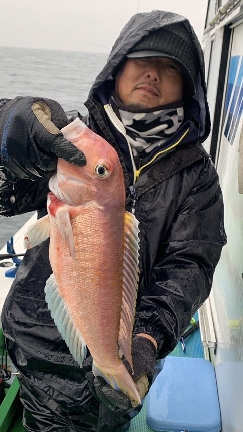 アマダイ(アカアマダイ)