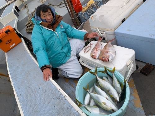 マダイ・イナダ(ブリ)