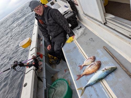 マダイ・イナダ(ブリ)