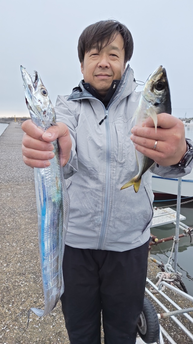 アジ(マアジ)・タチウオ