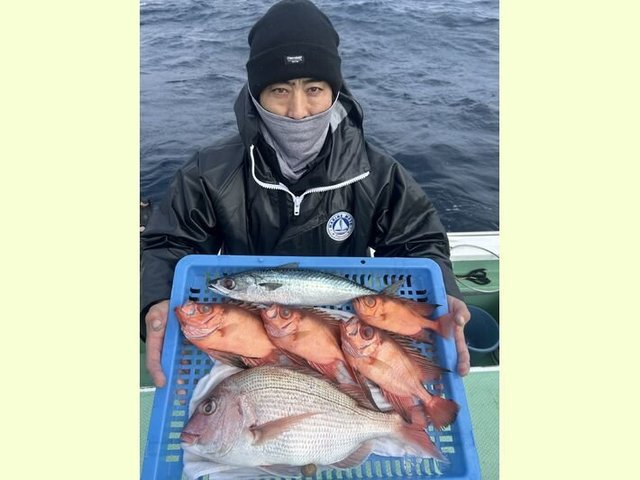 マダイ・キントキ(チカメキントキ)・サバ(ゴマサバ)