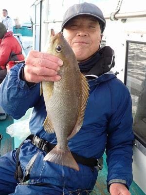 イサギ(イサキ)