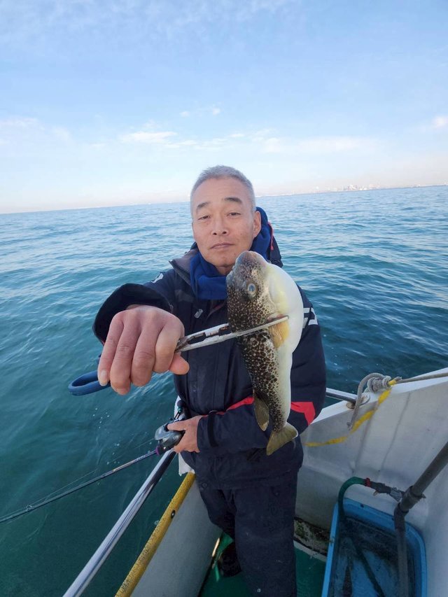 ショウサイフグ