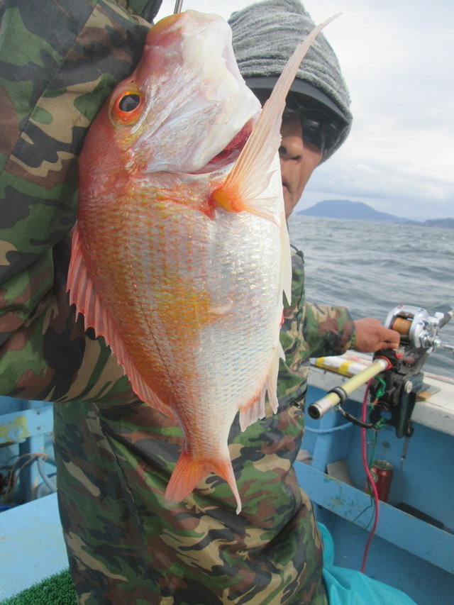 レンコ(キダイ)