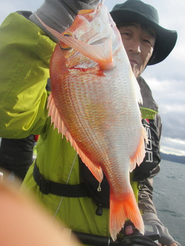 レンコ(キダイ)