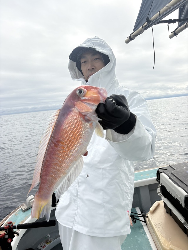 アマダイ(アカアマダイ)