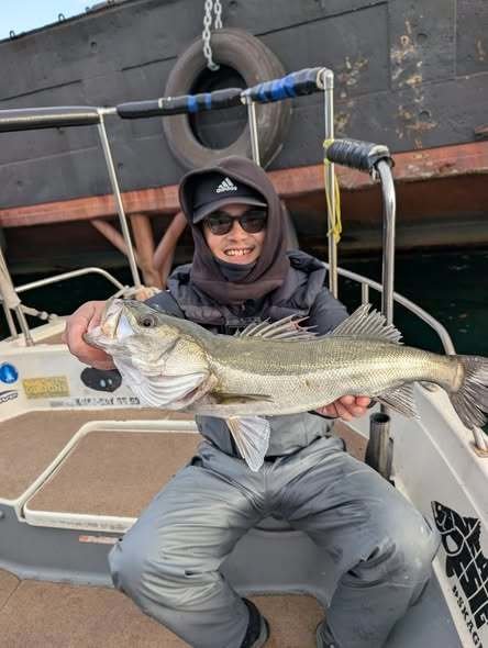 シーバス(スズキ)