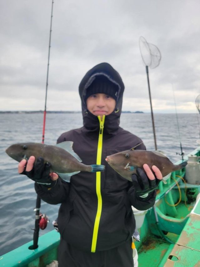 ウマズラハギ(ウマヅラハギ)