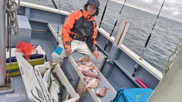 マダイ・イナダ(ブリ)