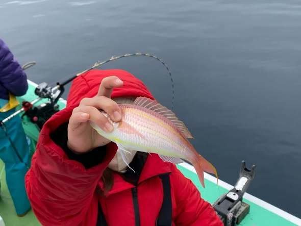 イトヨリ(イトヨリダイ)