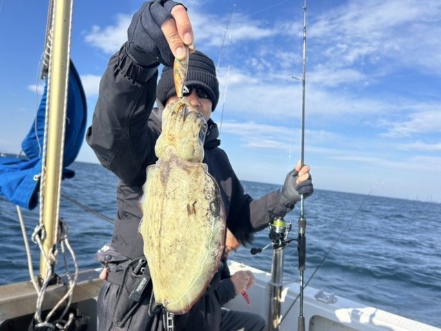 モンゴウイカ(カミナリイカ)