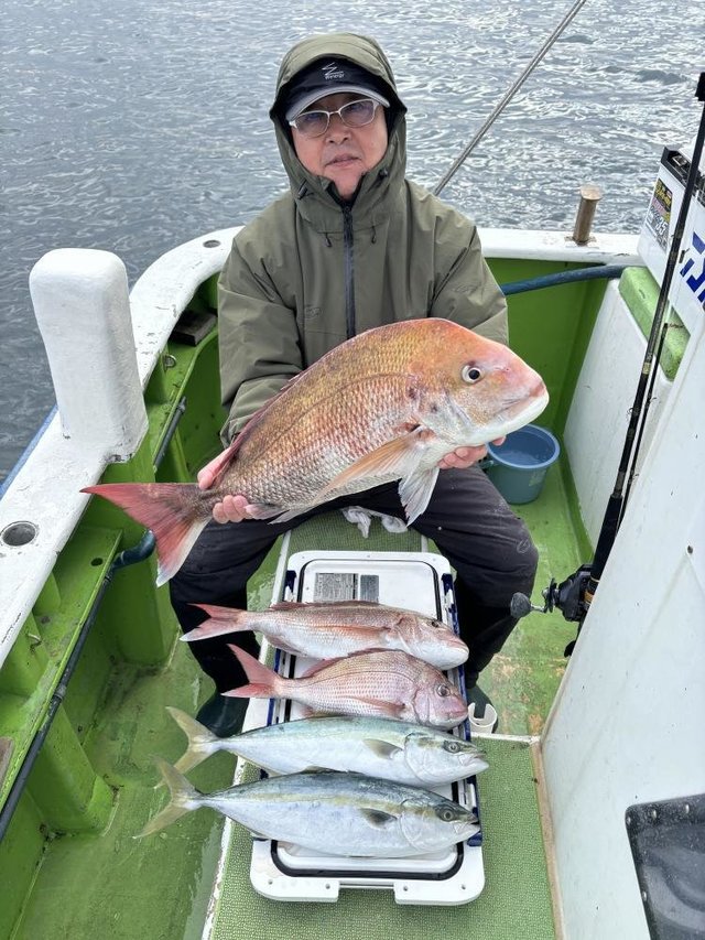 マダイ・イナダ(ブリ)