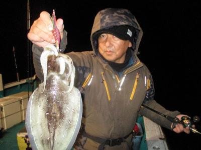 モンゴウイカ(カミナリイカ)