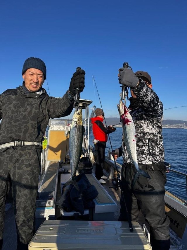 サゴシ(サワラ)