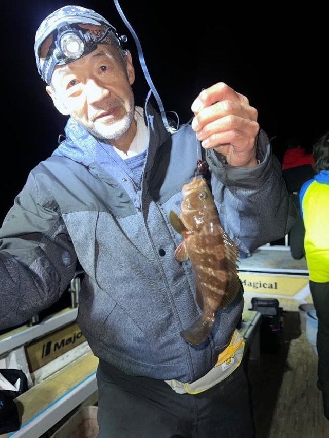 アコウ(キジハタ)