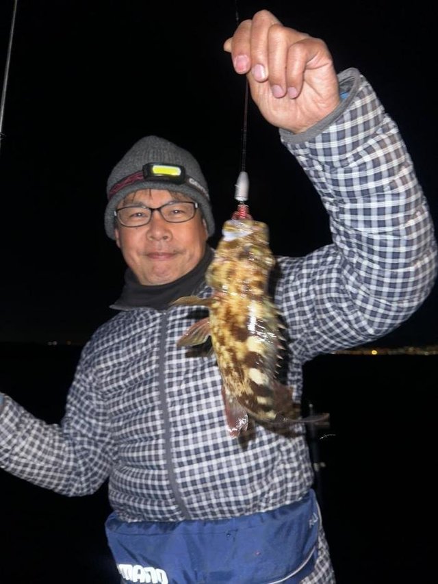 ガシラ(カサゴ)