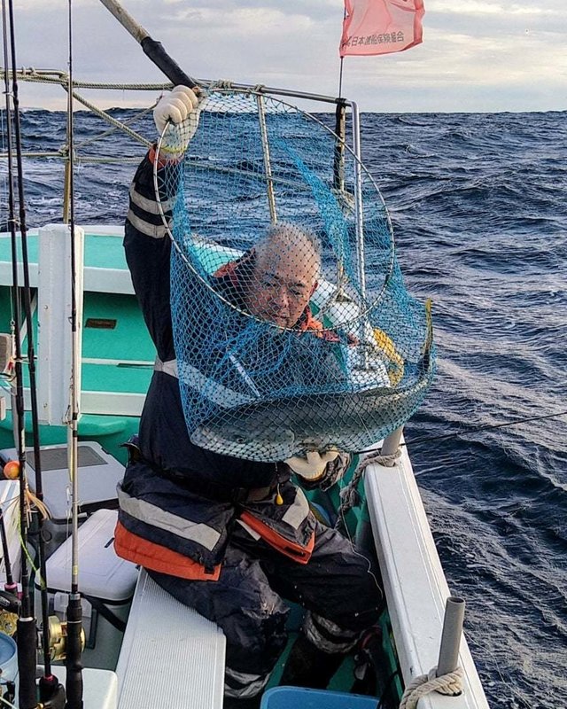 サンパク(ブリ)