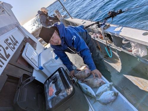 マダイ・カイワリ・イナダ(ブリ)
