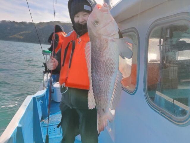 アマダイ(アカアマダイ)