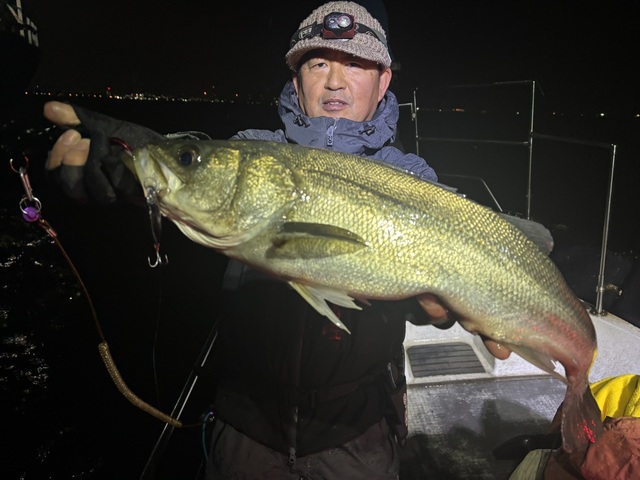 シーバス(スズキ)