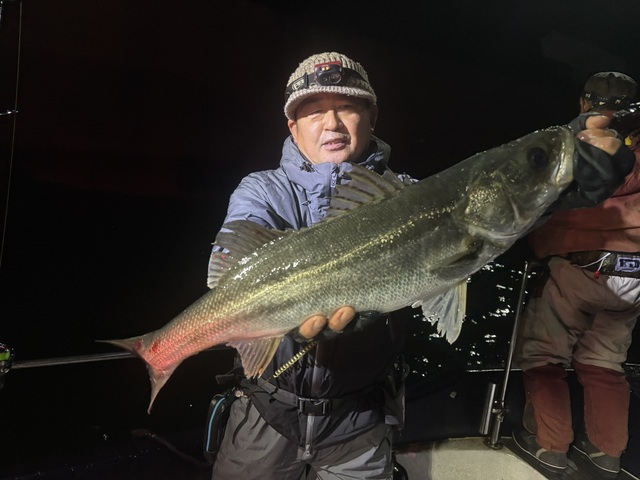 シーバス(スズキ)