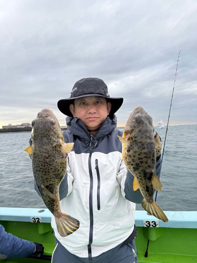 フグ(アカメフグ)