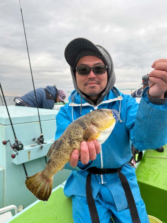 フグ(アカメフグ)