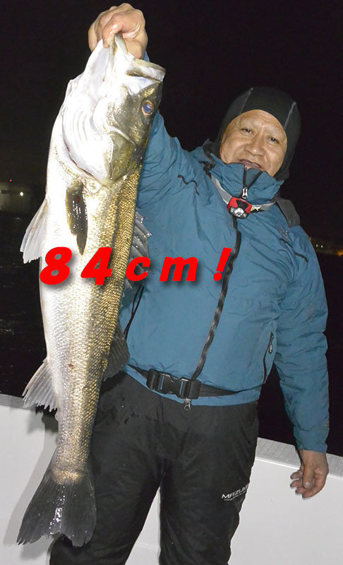 シーバス(スズキ)