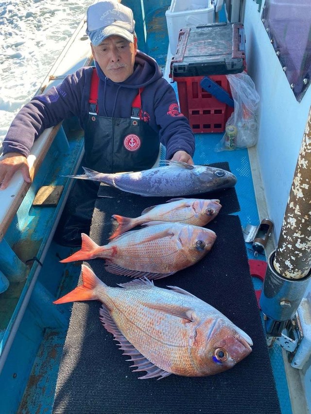 マダイ・メダイ