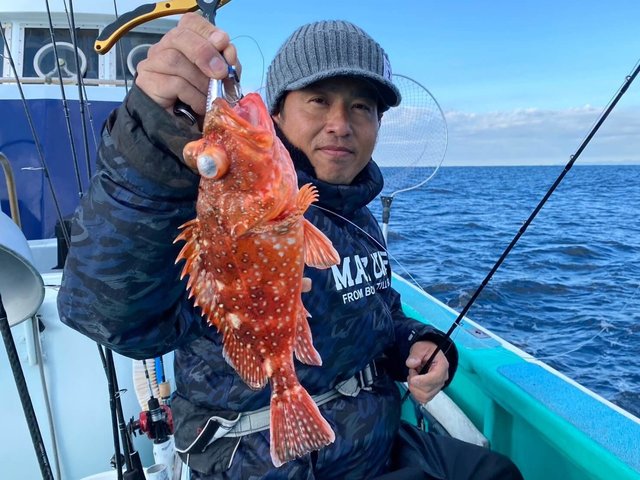 カンコ(ウッカリカサゴ)