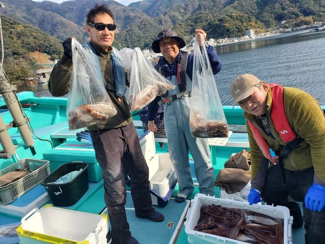 ヤリイカ・スルメイカ