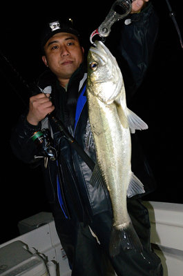 シーバス(スズキ)