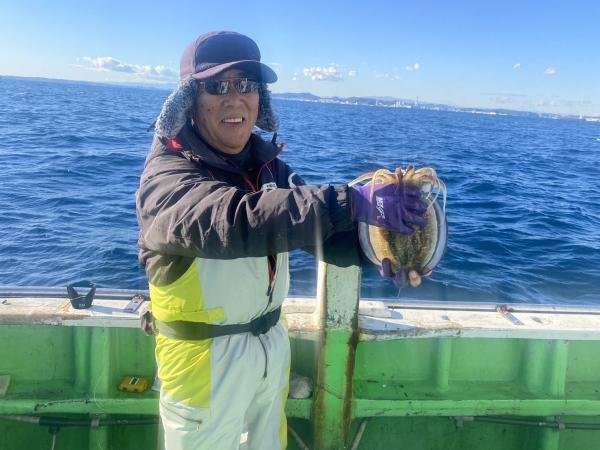 モンゴウ(カミナリイカ)