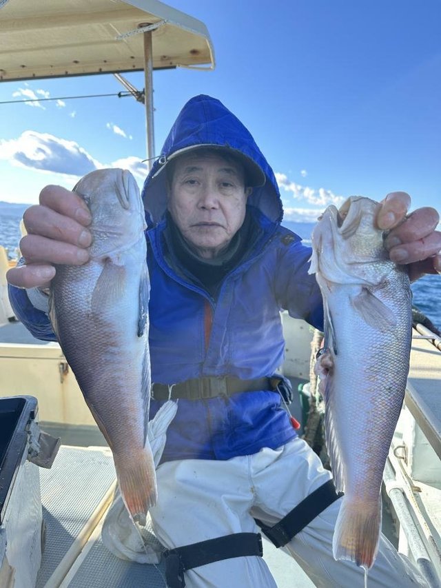 アマダイ(アカアマダイ)