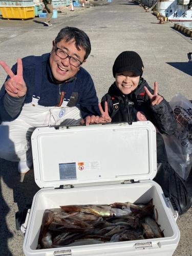 スルメ(スルメイカ)