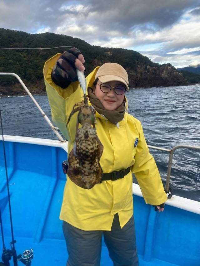 アオリ(アオリイカ)