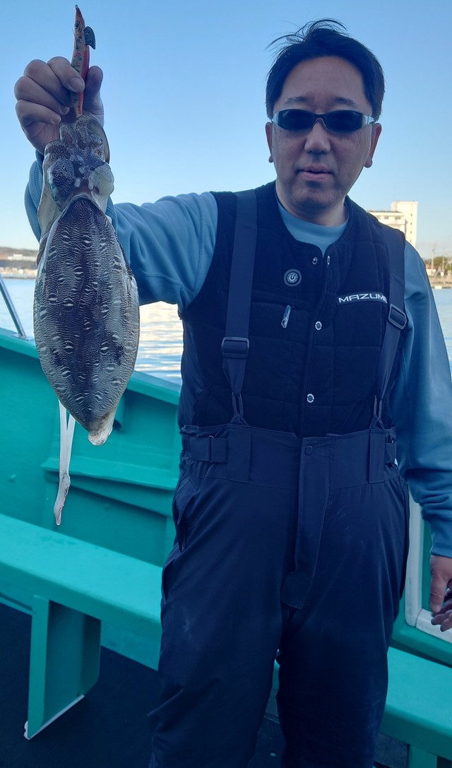 モンゴウイカ(カミナリイカ)