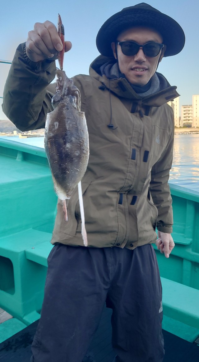 モンゴウイカ(カミナリイカ)