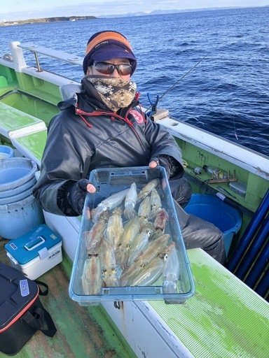 マルイカ(ケンサキイカ)