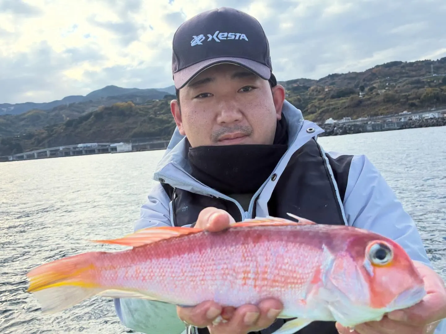 アマダイ(アカアマダイ)